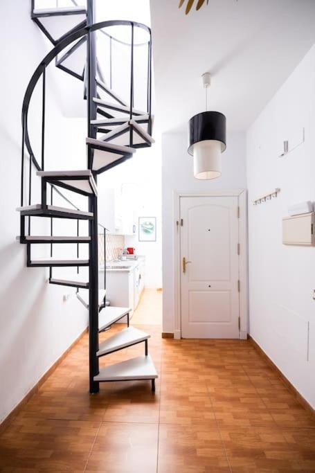 Apartment Shiny Alamos Super Family